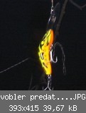 vobler predatek boomerang ultradeep TF ( tropical frog ).JPG