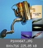 P1000647.JPG
