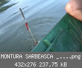 MONTURA SARBEASCA _2009.png