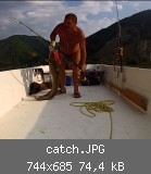 catch.JPG